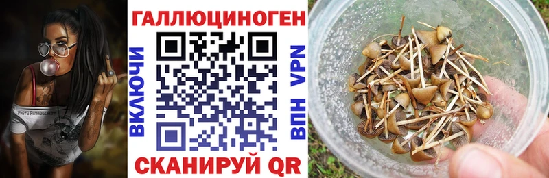 Псилоцибиновые грибы прущие грибы  Купить где  Андреаполь 